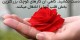 جملات زیبا و الهام بخش برای زندگی! قسمت 19