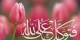 احادیثی که در مورد توکل به خدا بیان شده است
