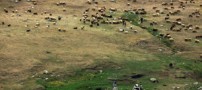 سفری دلچسب به چشمه سرعین در اردبیل (عکس)