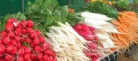 مراحل صحیح ضدعفونی کردن سبزیجات