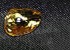 این دختر در پارک یک الماس قیمتی پیدا کرد! (عکس)