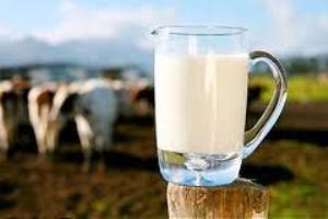 از کجا بفهمیم کمبود کلسیم داریم؟