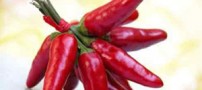 چرا فلفل موجب سوزش دهان می شود؟