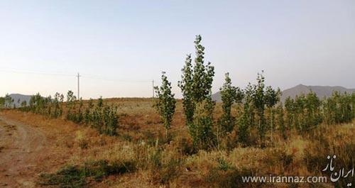 معرفی جاذبه های دیدنی استان زیبای لرستان (عکس) معرفی جاذبه های دیدنی استان زیبای لرستان (عکس)