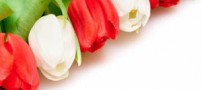 عکس های زیبایی از گل ها