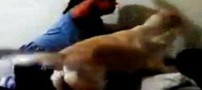 کار جالب و دیدنی این سگ خانگی (عکس)