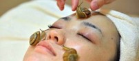 استفاده از حلزون برای زیبایی در ژاپن (عکس)