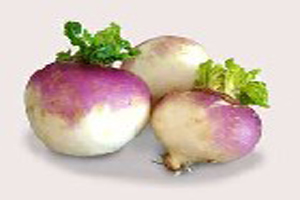 خواص داروئی و درمانی شلغم