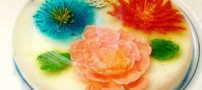 آموزش تهیه دسر تزریقی گل دار