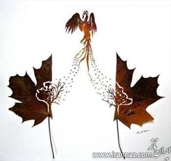 هنرمندی جالب یک مرد ایرانی روی برگ (عکس)