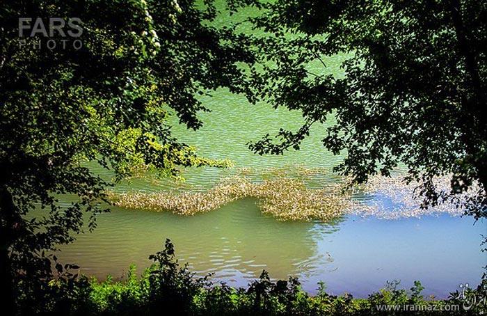 عکس های زیبا از طبیعت بهاری دریاچه چورت