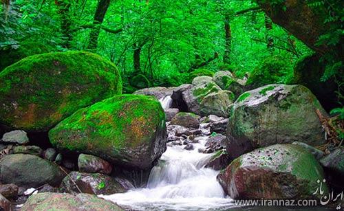 عکس هایی زیبا از طبیعت آرامبخش شمال ایران