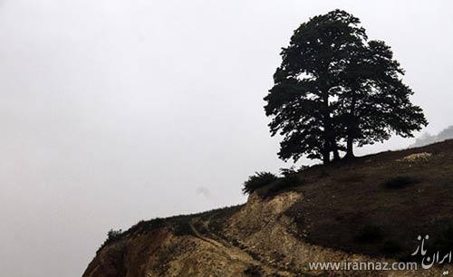 عکس هایی زیبا از طبیعت آرامبخش شمال ایران