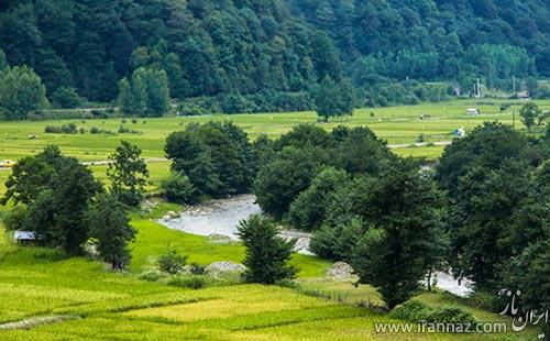 عکس هایی زیبا از طبیعت آرامبخش شمال ایران