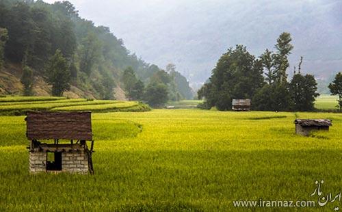 عکس هایی زیبا از طبیعت آرامبخش شمال ایران