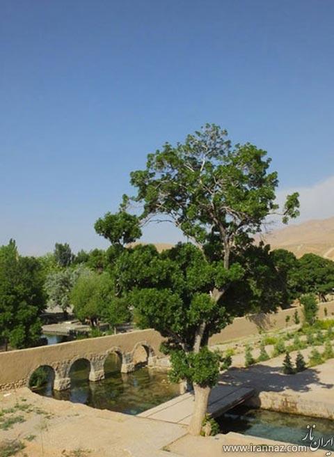 سفری به چشمه علی دامغان (عکس)