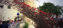 عکس هایی زیبا از کاخ سلطنتی لندن
