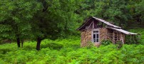 عکس هایی زیبا از طبیعت آرامبخش شمال ایران