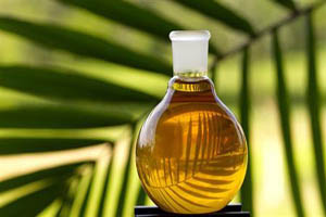 درباره روغن پالم چیزی شنیده اید؟