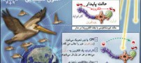 پرندگان چگونه راه خود را پیدا می کنند؟