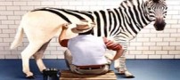 جالب و دیدنی ترین عکسهای فتوشاپی