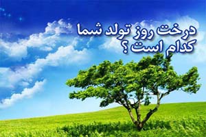 درخت ماه تولد شما کدام است؟