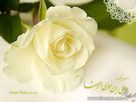 گلچینی از کارت پستال های زیبا ویژه ولادت امام ضا (ع)