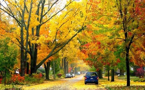 پاییز زیبا و دیدنی در شهر Ann Arbor (عکس)