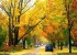 پاییز زیبا و دیدنی در شهر Ann Arbor (عکس)