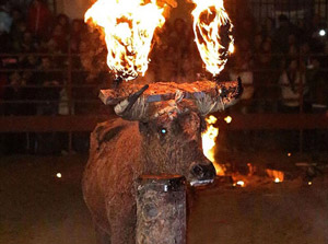 عکس های فستیوال وحشیانه و دردناک آتش زدن گاو