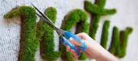 طراحی های زیبا ودیدنی شخص انگلیسی با چمن (عکس)