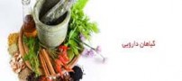 دارو های گیاهی مفید برای کاهش استرس