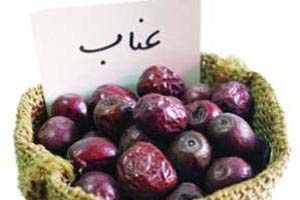 خواص و ویژگی های عناب را بدانید