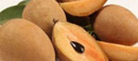 آشنایی با خواص درمانی میوه چیکو