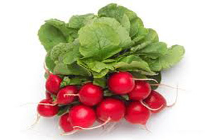 خواص تربچه برای مقابله با این بیماری ها