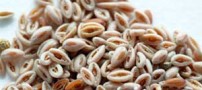 اسفرزه چه خاصیت هایی دارد؟