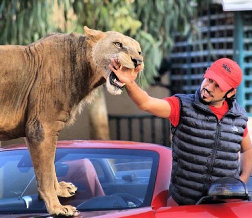 تصاویری اعجاب انگیز از سبک زندگی شاهزاده عرب
