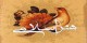 رشته تحصیلی هنر اسلامی و شاخه های آن