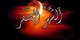 اعمال مستحب در ماه محرم و صفر
