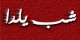اتفاق غیر منتظره که در شب یلدا رخ می دهد! (عکس)