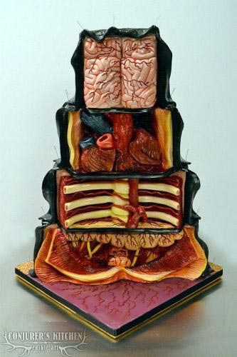 کیکی که از اندام های بدن انسان تهیه شده است (عکس)