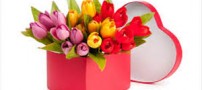7 راهکار برای خشک کردن دسته گل عروسی