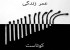 چیزهایی که در عبور از جاده های زندگی آموختم