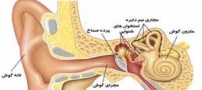 کارهایی که به گوش آسیب می رسانند