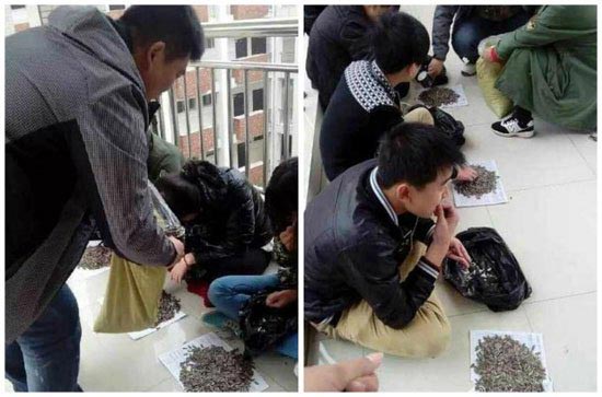 شیوه جدید و متفاوت معلم چینی برای تنبیه دانش آموزان (عکس)