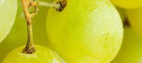 خاصیت روغن دانه انگور برای بدن