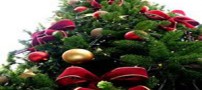 تصاویری از هیاهوی خرید کریسمس در تهران