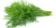 استفاده از شوید چه فایده ای برای بدن دارد؟