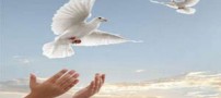 دعایی به هنگام سفر رفتن