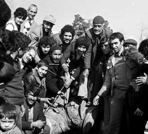 عکس هایی از سفر بدون بازگشت شاه از ایران
